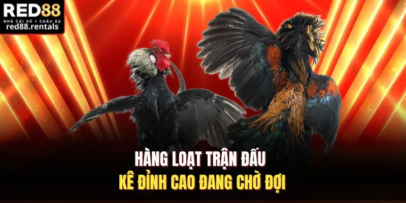 Hàng loạt trận đấu kê đỉnh cao đang chờ đợi