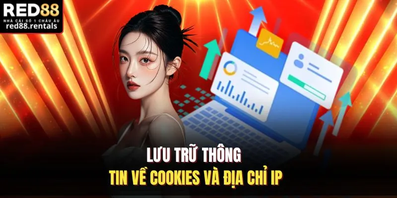 Lưu trữ thông tin về cookies và địa chỉ IP