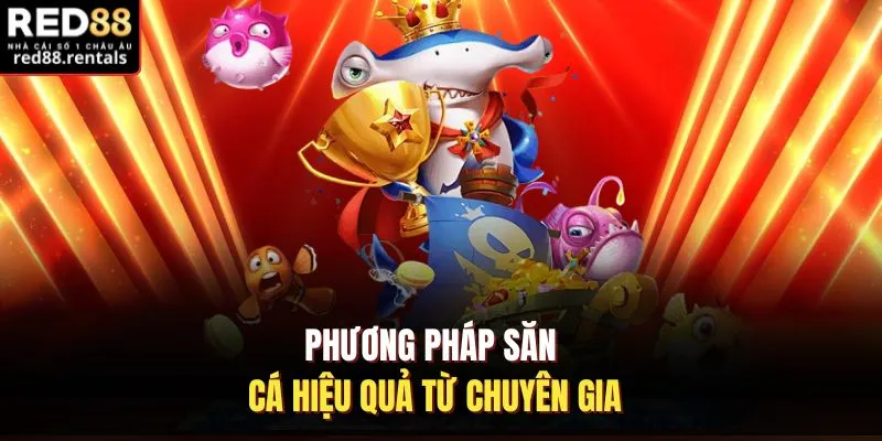 Phương pháp săn cá hiệu quả từ chuyên gia