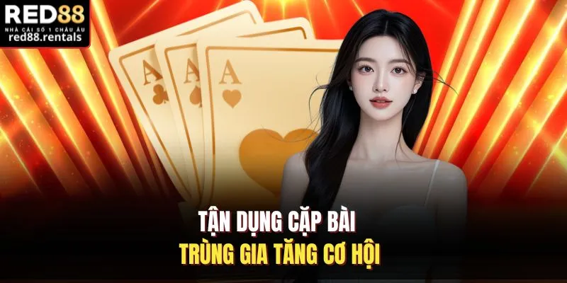 Tận dụng cặp bài trùng gia tăng cơ hội