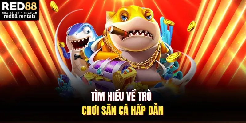 Tìm hiểu về trò chơi săn cá hấp dẫn
